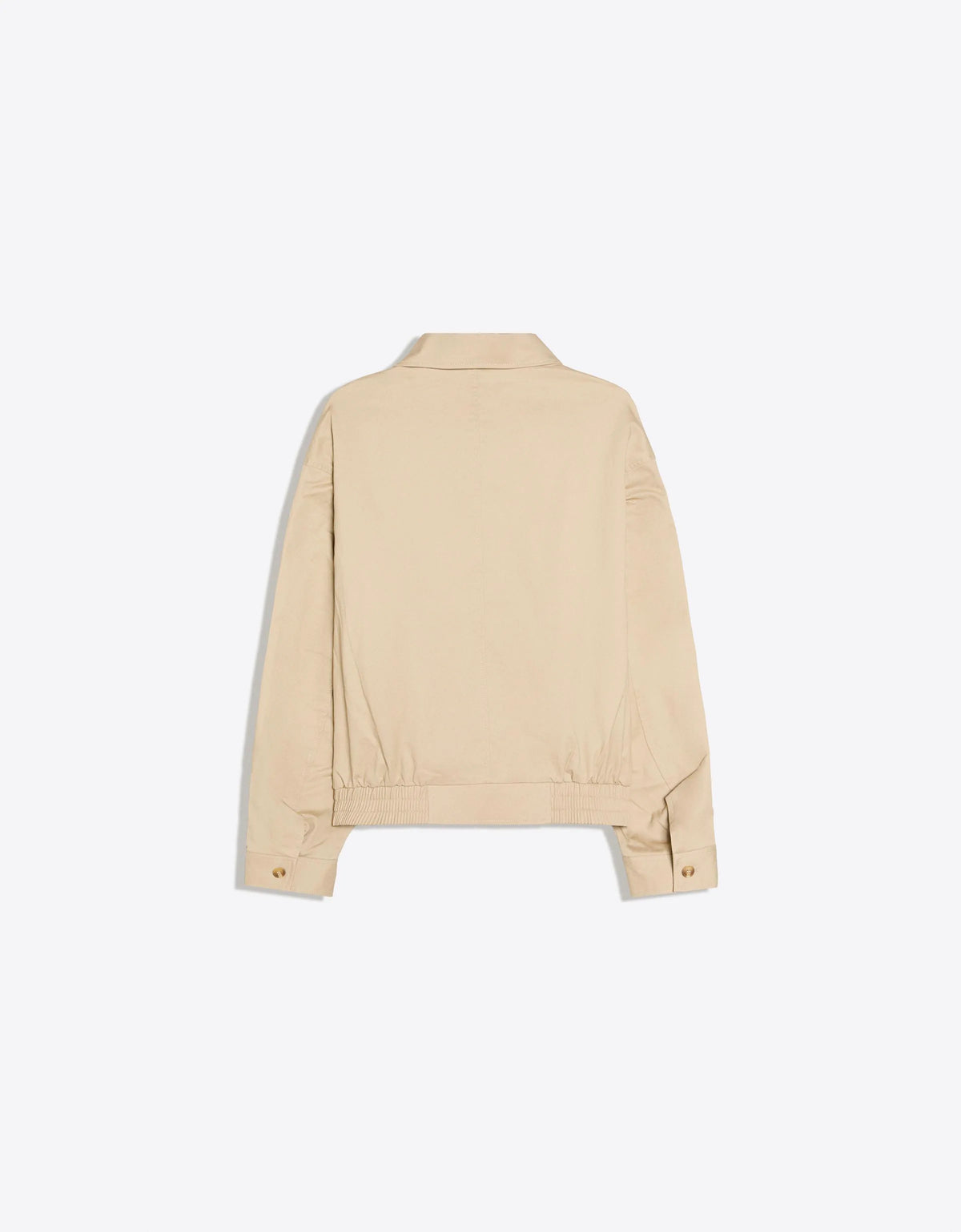 Camel